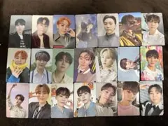 2026年最新】スングァン 舞い落ちる花びらの人気アイテム - メルカリ