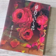 2026年最新】山上るい 枯れていく花の人気アイテム - メルカリ