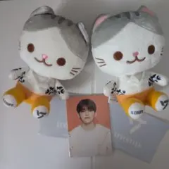 2026年最新】seventeen エスクプス ぬいぐるみの人気アイテム - メルカリ