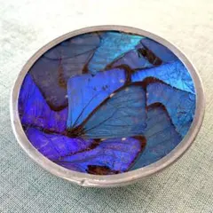 2026年最新】モルフォ蝶 皿の人気アイテム - メルカリ