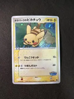 ポケパークのピカチュウ ポケパークプレミアムファイル 004/009 - メルカリ