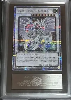 2026年最新】スターダストドラゴン arsの人気アイテム - メルカリ