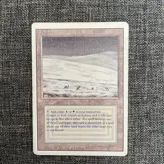 2026年最新】デュアルランドの人気アイテム - メルカリ