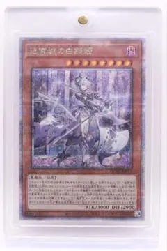 2026年最新】迷宮城の白銀姫 25thの人気アイテム - メルカリ