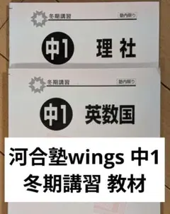 2026年最新】河合塾Wingsの人気アイテム - メルカリ