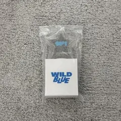 2026年最新】WiLD blue ペンライトの人気アイテム - メルカリ