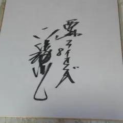 2026年最新】オリックス サイン色紙の人気アイテム - メルカリ