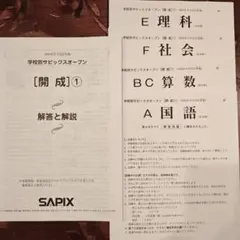 2026年最新】サピックスオープンの人気アイテム - メルカリ