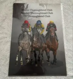 2026年最新】サンデーサラブレッドクラブの人気アイテム - メルカリ