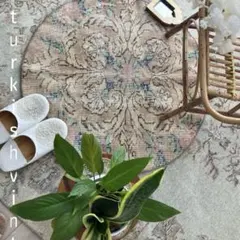 2026年最新】トルコ ヴィンテージ お花ラグの人気アイテム - メルカリ