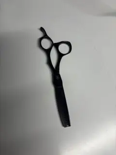 2026年最新】ミズタニシザー ブラックの人気アイテム - メルカリ