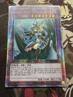 2026年最新】竜騎士ブラックマジシャン アジアの人気アイテム - メルカリ