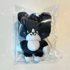 2026年最新】superjunior ぬいぐるみの人気アイテム - メルカリ