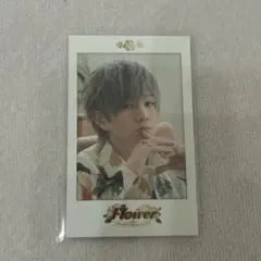 2026年最新】うらたぬき チェキの人気アイテム - メルカリ