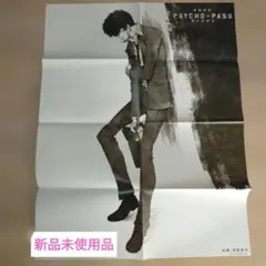 2026年最新】サイコパス ポスターの人気アイテム - メルカリ