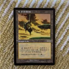 2026年最新】セラの聖域の人気アイテム - メルカリ