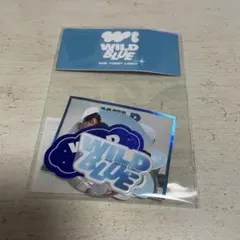 2026年最新】WILD blue ステッカーの人気アイテム - メルカリ