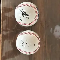 2026年最新】山田哲人サインボールの人気アイテム - メルカリ