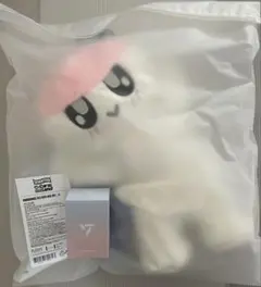 2026年最新】ペンラケース seventeenの人気アイテム - メルカリ