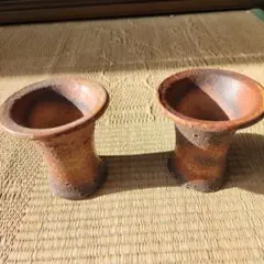 2026年最新】野生蘭の人気アイテム - メルカリ