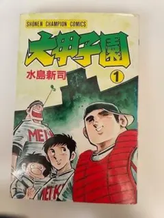 2026年最新】大甲子園 全巻の人気アイテム - メルカリ