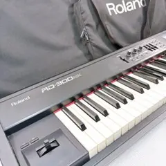 2026年最新】Roland rd-300nxの人気アイテム - メルカリ