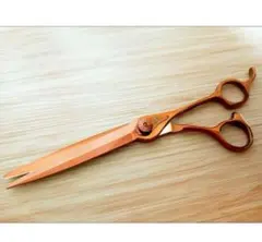 2026年最新】nbaa シザーの人気アイテム - メルカリ