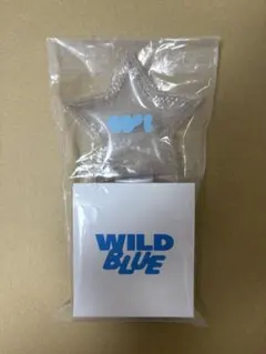 2026年最新】WiLD blue ペンライトの人気アイテム - メルカリ