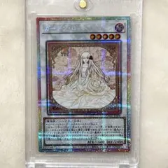 2026年最新】ガーデン•ローズ•メイデンの人気アイテム - メルカリ