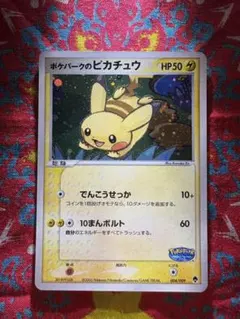 ポケパークのピカチュウ ポケパークプレミアムファイル 004/009 - メルカリ