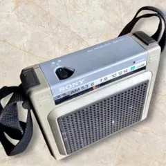 2026年最新】SONY ICR-S71の人気アイテム - メルカリ