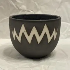 2026年最新】バリエム 鉢の人気アイテム - メルカリ