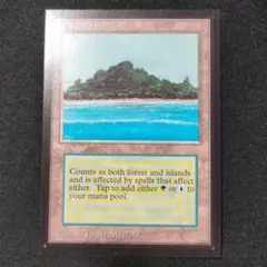 2026年最新】tropical island mtgの人気アイテム - メルカリ