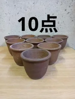 2026年最新】伝市鉢の人気アイテム - メルカリ