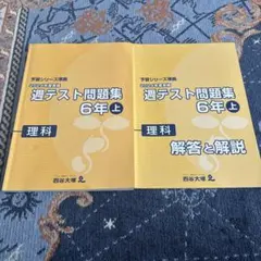 2026年最新】6年週テストの人気アイテム - メルカリ