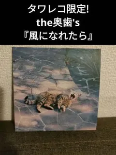 2026年最新】the奥歯's 風になれたらの人気アイテム - メルカリ