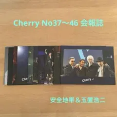 2026年最新】安全地帯 会報の人気アイテム - メルカリ