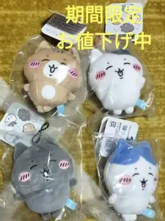 2026年最新】ちいかわ_ハチワレとごきげんななかま_マスコットの人気