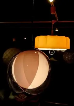 2026年最新】チューリップライト ナショナルの人気アイテム - メルカリ