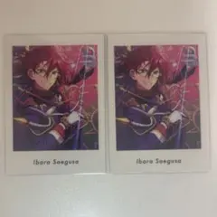 2026年最新】ぱしゃっつ 茨の人気アイテム - メルカリ