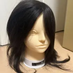 2026年最新】カットウィッグip200の人気アイテム - メルカリ