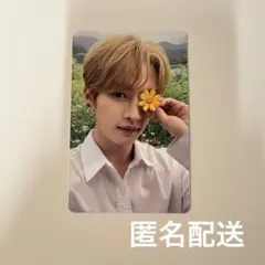 2026年最新】straykids リノ トレカ noeasyの人気アイテム - メルカリ