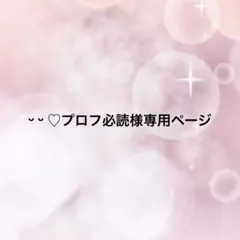 2026年最新】プロフ必読様専用の人気アイテム - メルカリ
