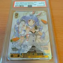 2026年最新】野うさぎの休日 兎田ぺこら sspの人気アイテム - メルカリ