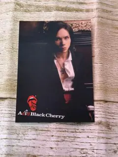 2026年最新】acid black cherry シリアルの人気アイテム - メルカリ