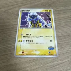 ライコウ ポケパークプレミアムファイル 005/009 - メルカリ