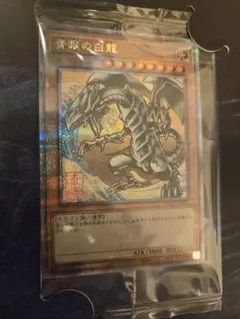 2026年最新】青眼の白龍 ブルーアイズホワイトドラゴン 25thの人気