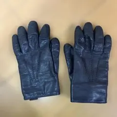 2026年最新】セルモネータグローブスの人気アイテム - メルカリ