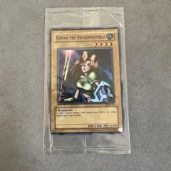 2026年最新】女剣士カナン wcsの人気アイテム - メルカリ