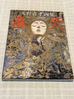 2026年最新】天野喜孝全版画集の人気アイテム - メルカリ